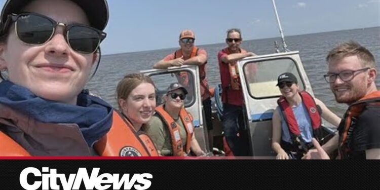 Lake Winnipeg's Toxic Algae: A Wake-Up Call for Our Environmental Responsibilities